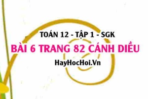 Bài 6 trang 82 Toán 12 tập 1 Cánh Diều